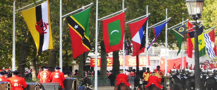 The Flag Consultancy